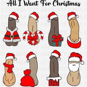 All I Want For Christmas Shirt, Dick Diversity DTF Transfer Ready To Press