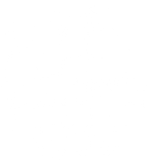 Venice Beach Tank Top DTF Transfer Ready To Press